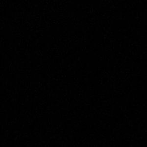 Meet your Posher, Edwina